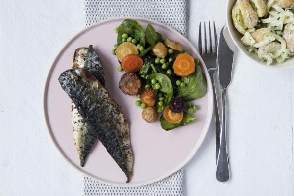 Grilled Mackerel Fillet